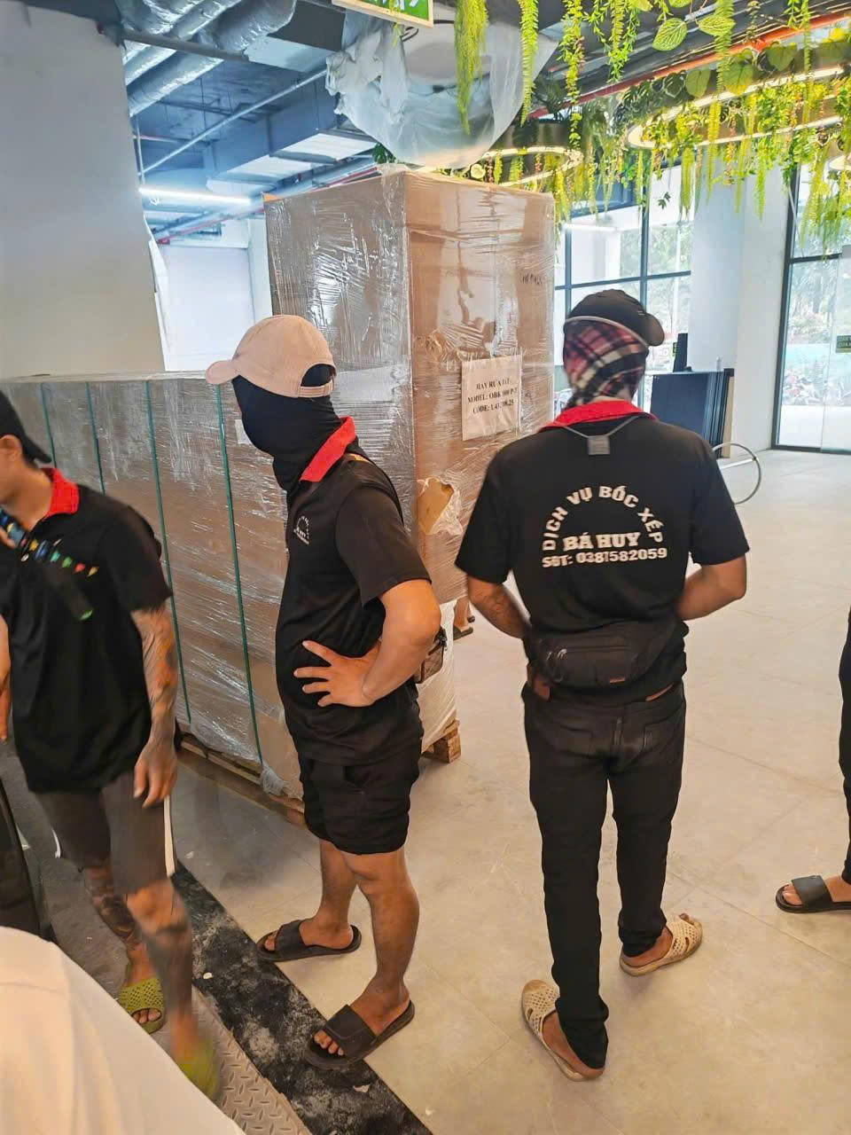 Bốc xếp thực tế 5