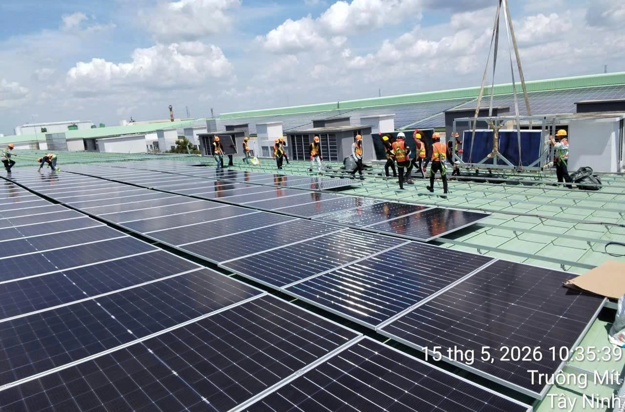 Bốc xếp thực tế 4
