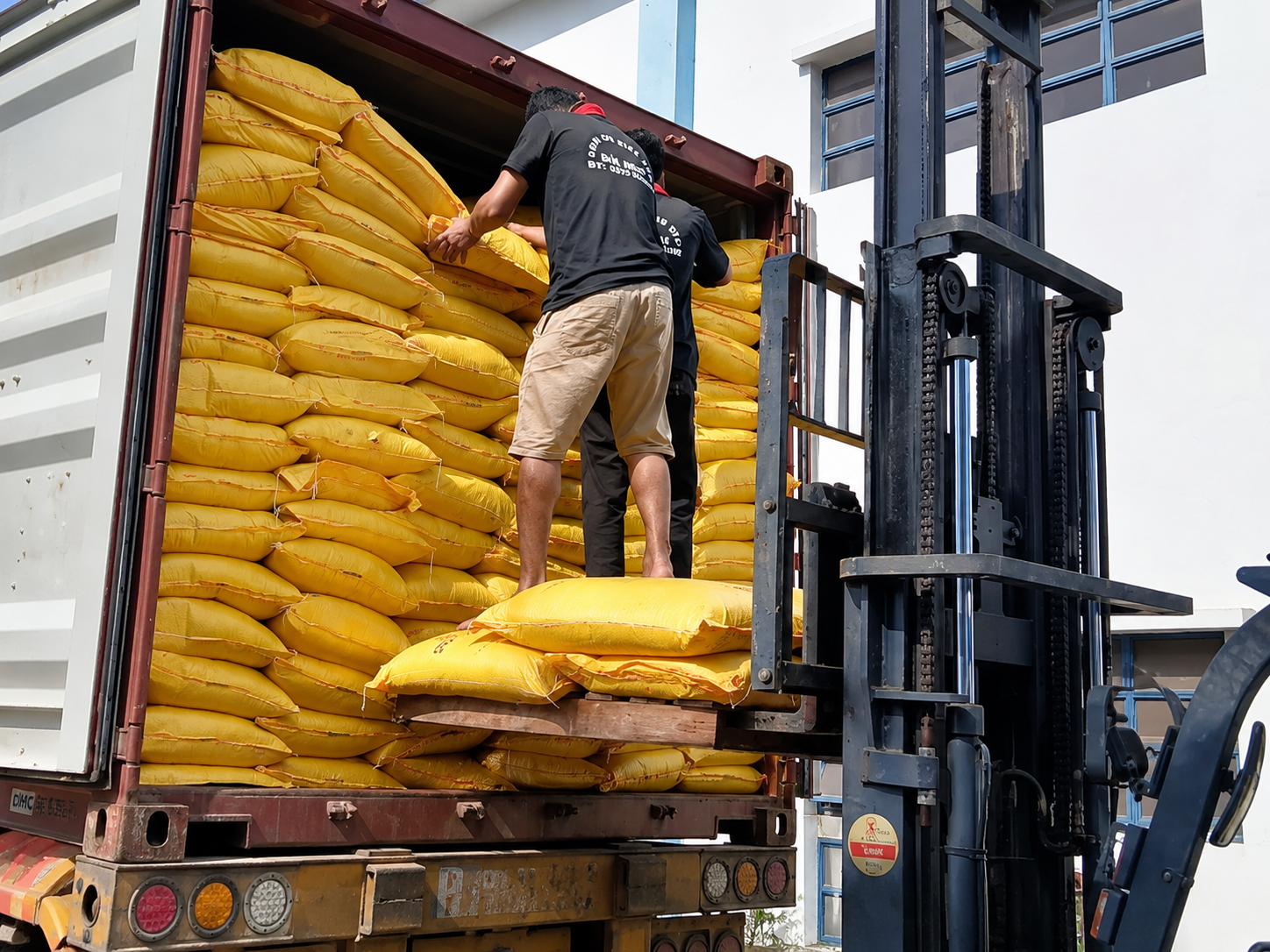 Giải pháp bốc vác container